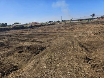 Stands & Residential Land