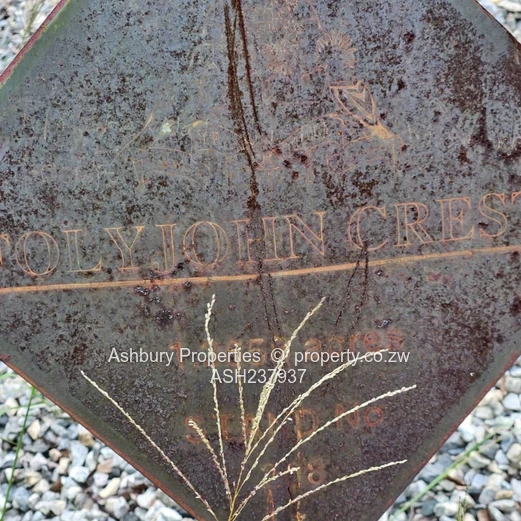 A rare to find stand at the Heart of Glen Lorne on Folyjon Crescent.