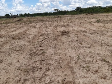 Farm & Agricultural Land