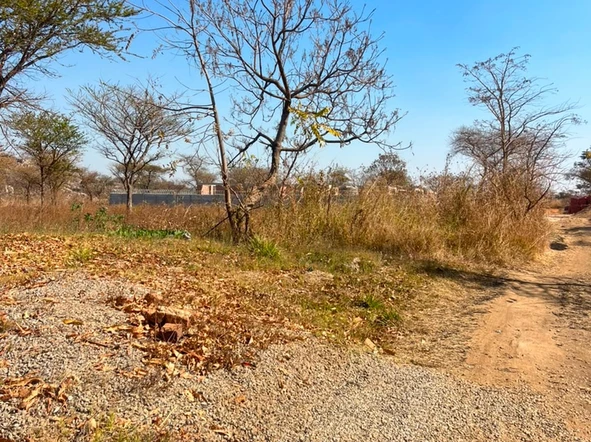 Stands & Residential Land