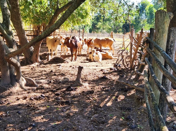 Farm & Agricultural Land