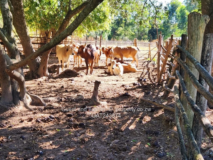 2.4Ha Commercial Farm for Sale - Marondera Svosve Road Property