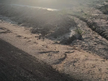 Stands & Residential Land