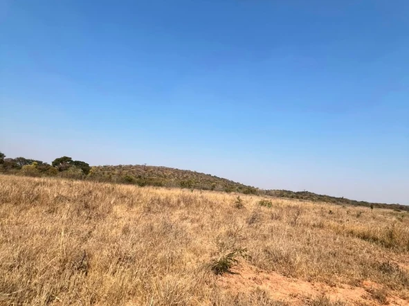 Farm & Agricultural Land
