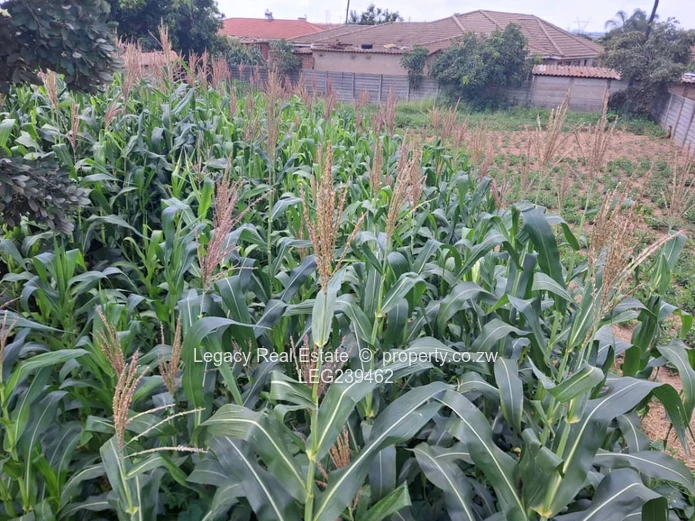 Granary Park Harare –corner stand for sale measuring 569sqm