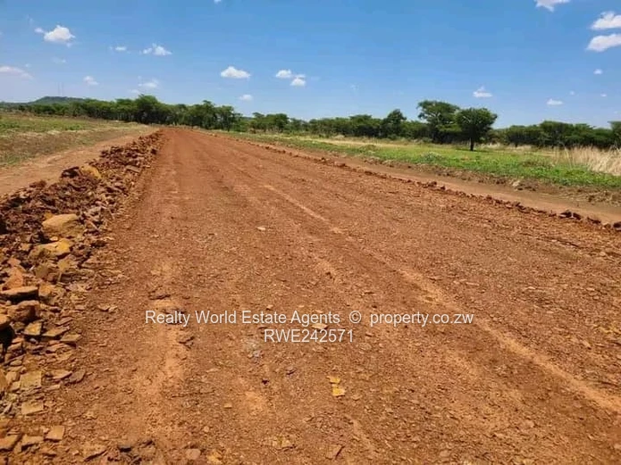 Spitzkop Stands for Sale