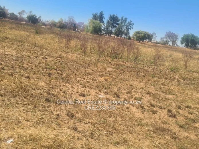 Norton plot for sale 