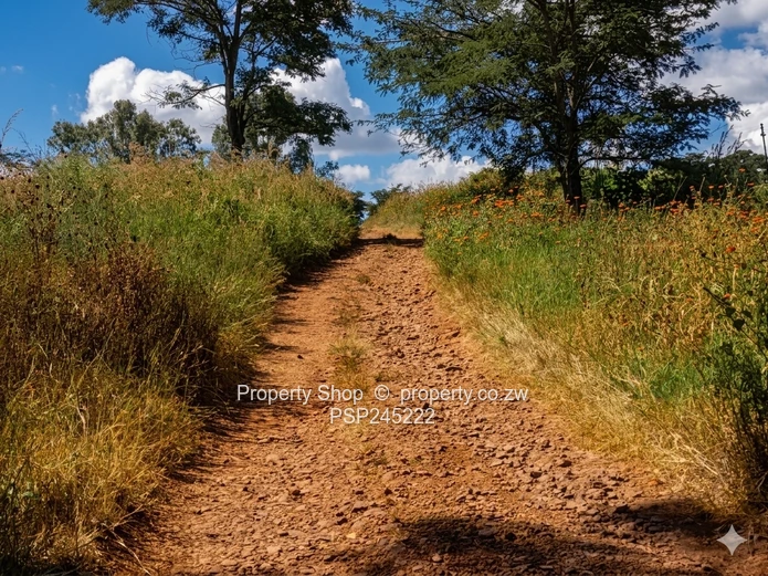 Glen Forest Plot $350k