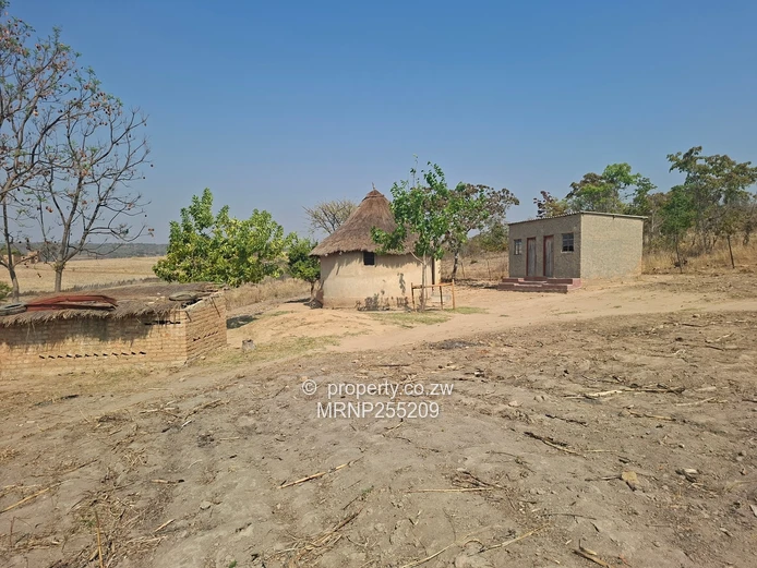Headlands Plot for sale  (Sole Mandate)