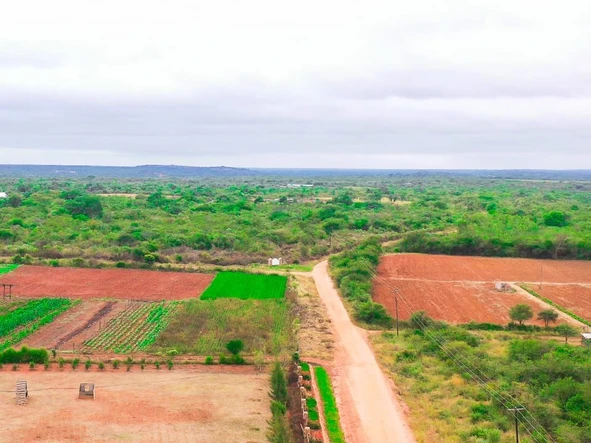Farm & Agricultural Land