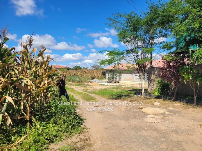 Stand For Sale  In Crowhill