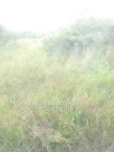 Beatrice Plot for sale