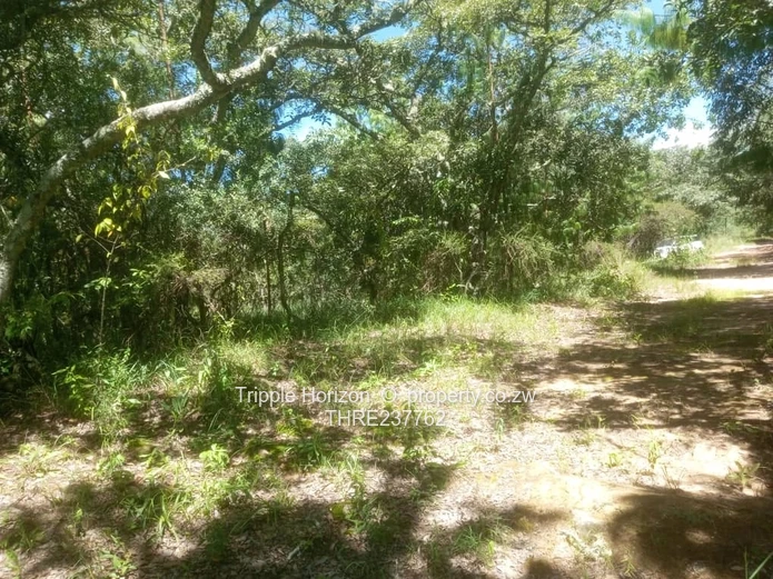 Farm for sale in Nyanga