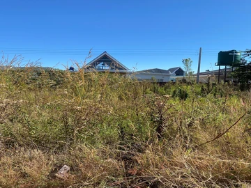 Stands & Residential Land