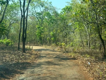 Land