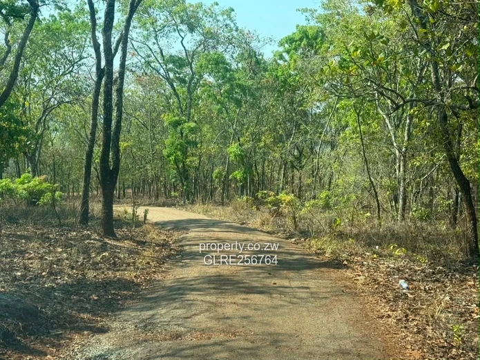 41ha Borrowdale Acreage with Mature Trees & Road Frontage
