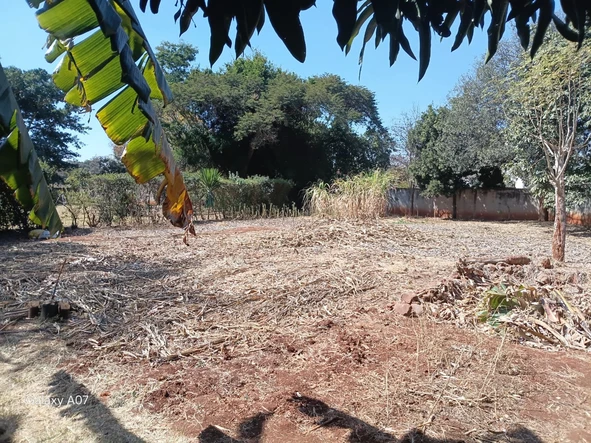 Stands & Residential Land