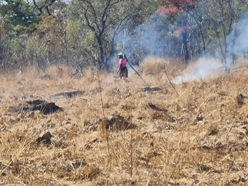 Farm & Agricultural Land