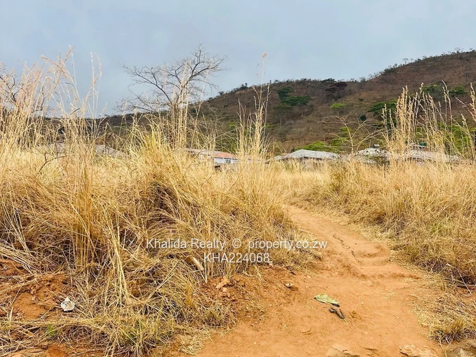 Mutare Weirmouth stands x3 for sale