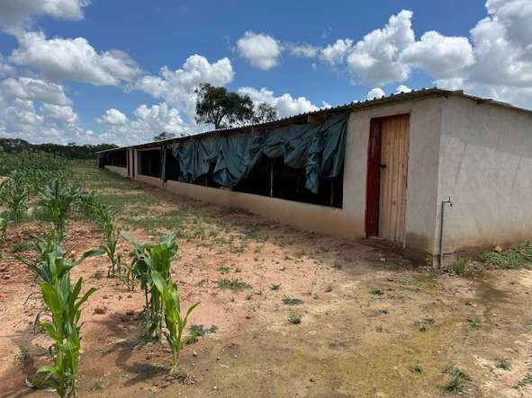 Farm & Agricultural Land