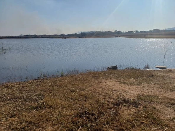 Farm & Agricultural Land