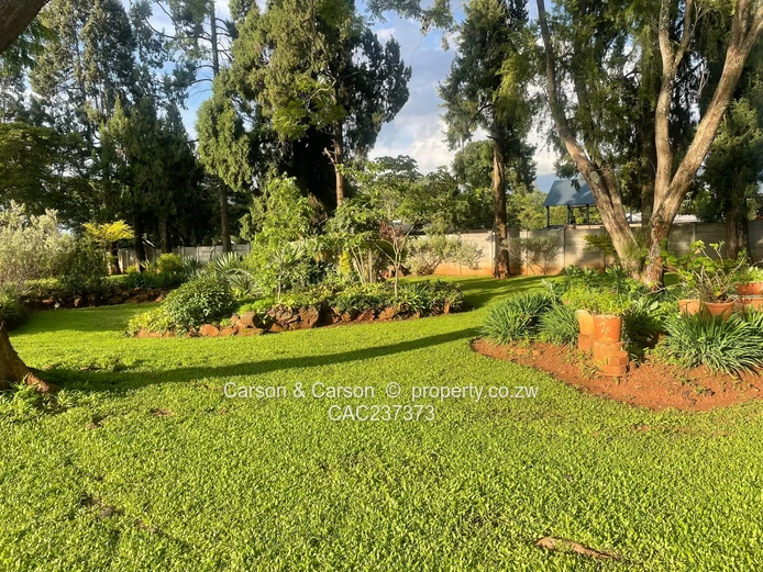 Investors Dream !!!! 2026 New Grab 