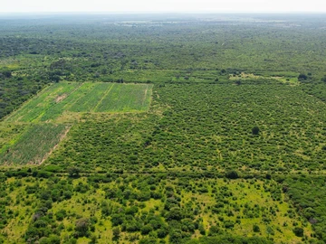 Farm & Agricultural Land