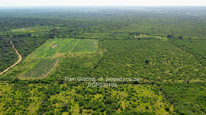 Nyamandlovu 1026 farm for sale