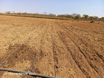 Farm & Agricultural Land