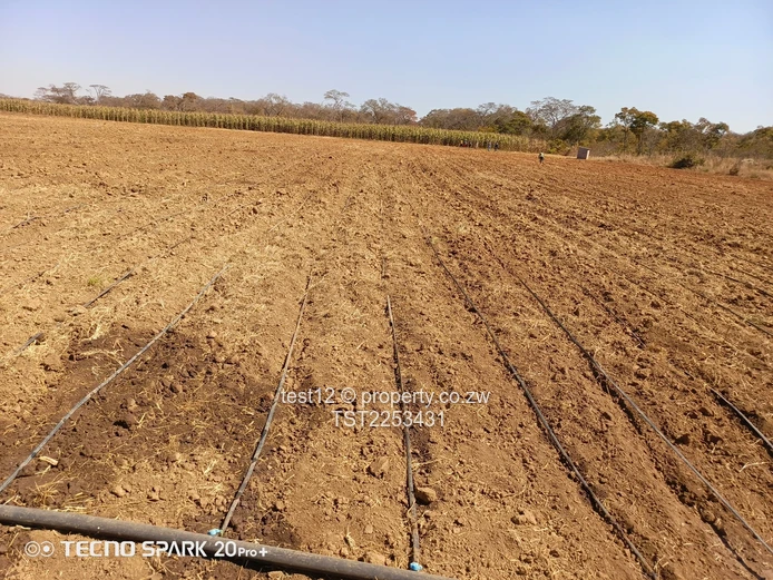 Mazowe Farm For Sale  (Sole Mandate)