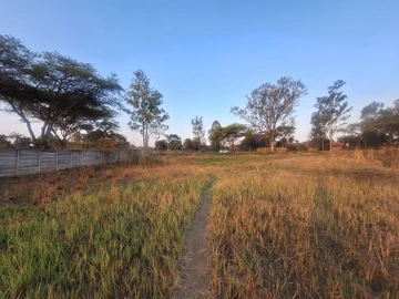 Stands & Residential Land