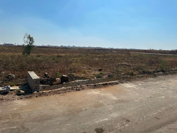 Stands & Residential Land