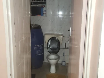 Flat & Apartment