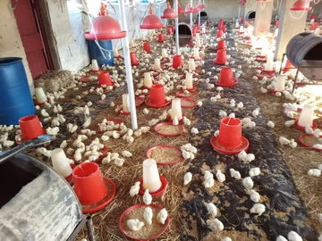 Farm & Agricultural Land