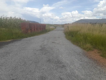 Stands & Residential Land