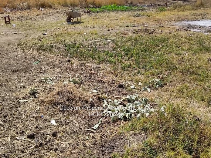 Prime Residential Land in Sandton Park, Harare Wes