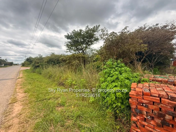 Arlington Stand For Sale