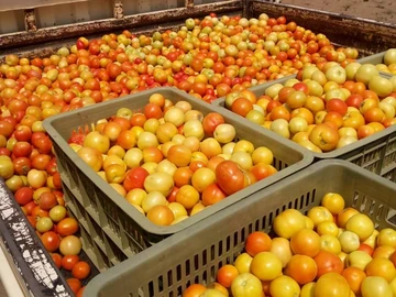 Farm & Agricultural Land