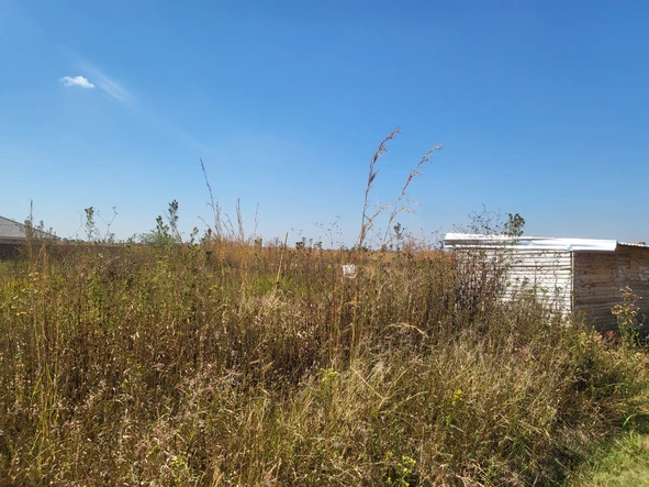 Stands & Residential Land