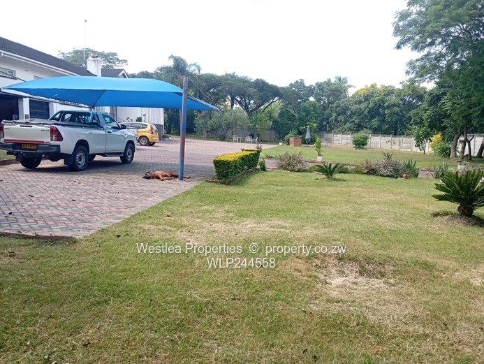 Grab this massive gem