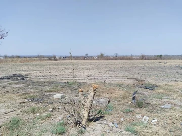 Farm & Agricultural Land