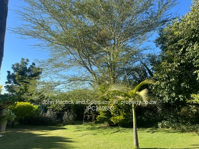 Sunninghill Three acres good land and home