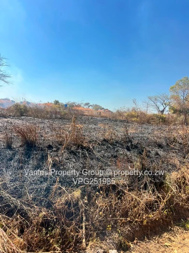 Sawara hills Residential stands for sale