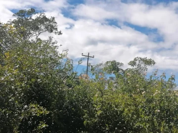 Farm & Agricultural Land