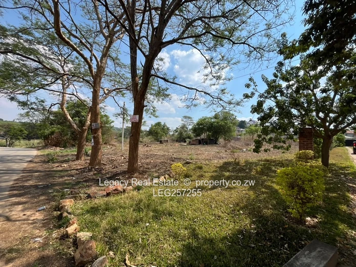 Tree-lined 3,000 m² Glen Lorne Stand 