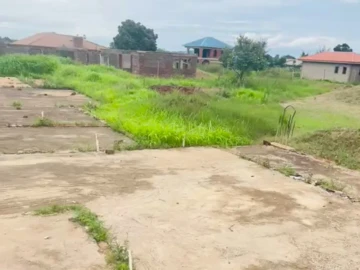 Stands & Residential Land