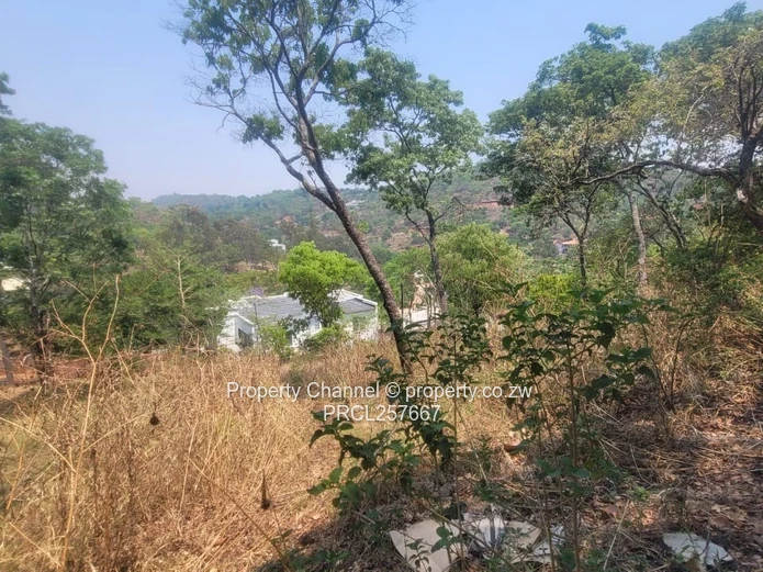 Available is a 2500m² Glen Lorne Stand