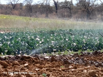 Farm & Agricultural Land