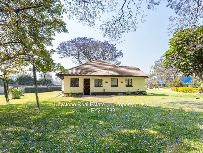 Exceptional Investment Opportunity: 3-Acres, 5 Houses Commercial Zoned 