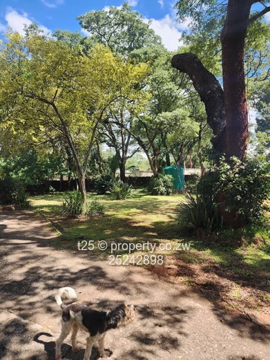 Avondale House for Sale